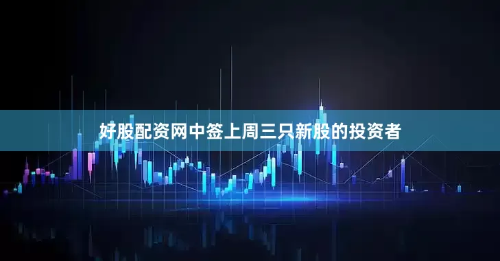 好股配资网中签上周三只新股的投资者