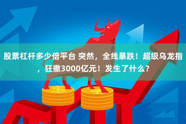 股票杠杆多少倍平台 突然，全线暴跌！超级乌龙指，狂撒3000亿元！发生了什么？