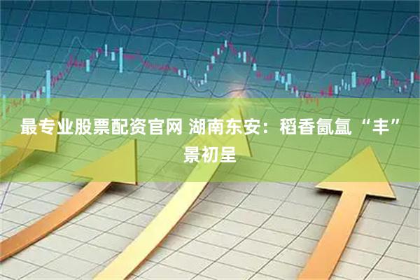 最专业股票配资官网 湖南东安：稻香氤氲 “丰”景初呈